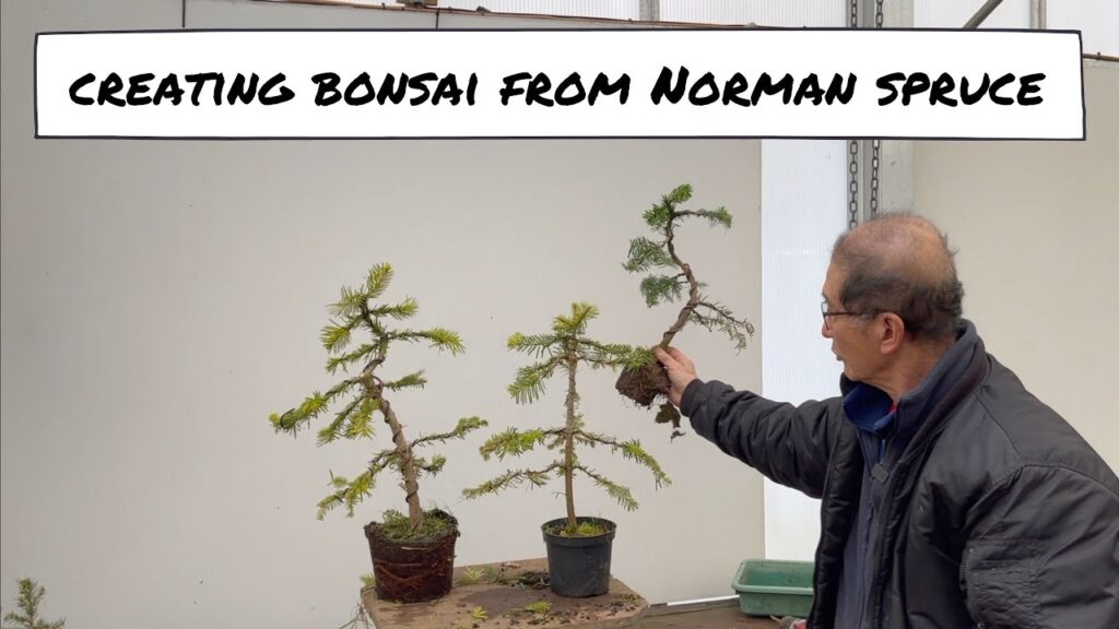 Video Listings - Herons Bonsai - Prairie State Bonsai Society