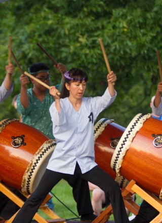 Read more about the article The Morton Arboretum Asia Festival Comments