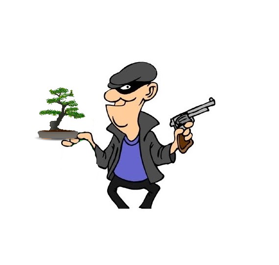 Read more about the article Bonsai Security