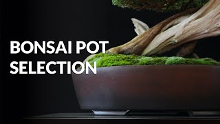 Unique bonsai pot  Bonsai tree, Bonsai pots, Bonsai