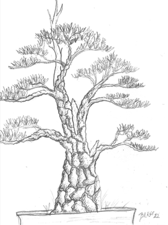 Chris Baker with Red Pine