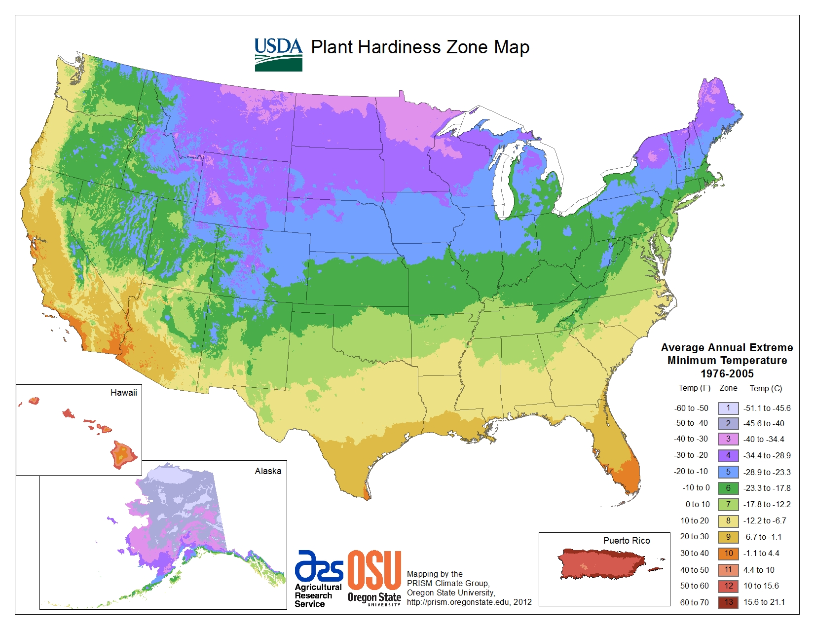 Read more about the article Bonsai Hardiness