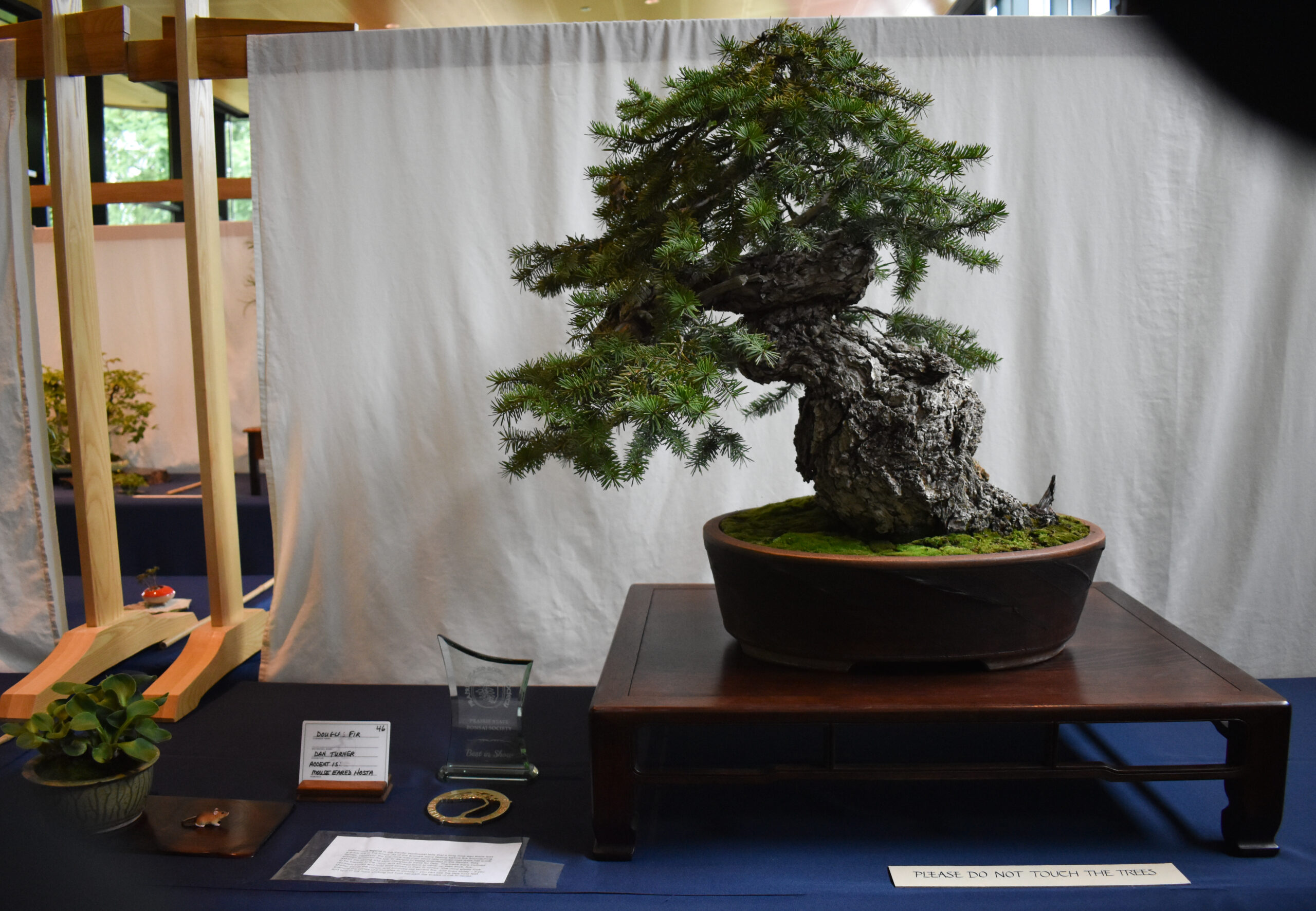 Read more about the article 2023 Annual Bonsai Show Recap