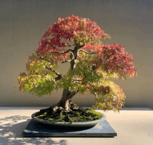 Read more about the article Things to do in September 2025