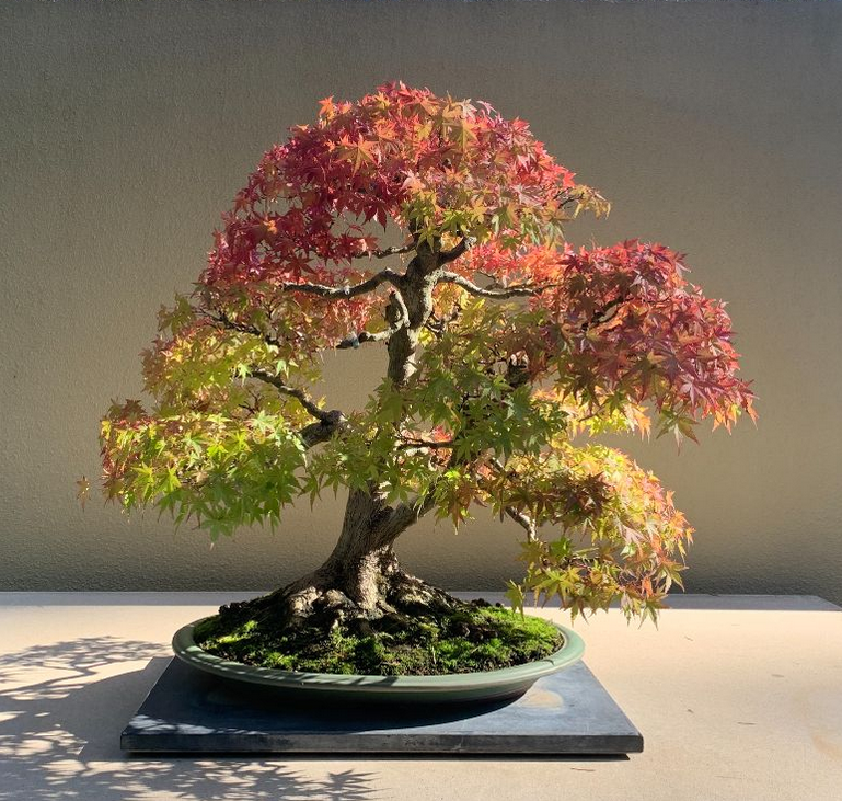 Read more about the article Things to do in September 2025