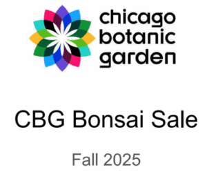 Read more about the article Tree Sale – Chicago Botanic Garden
