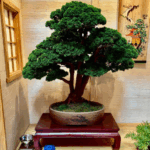 Mid-America Bonasi Exhibition 2025