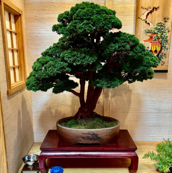 Read more about the article Mid-America Bonasi Exhibition 2025