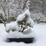 Things to do – December 2025