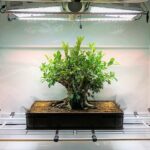 Things to do – February 2026