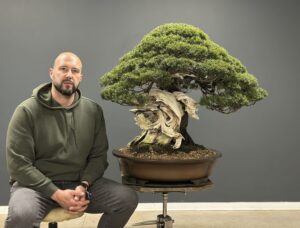 Mauro Stemberger with bonsai tree