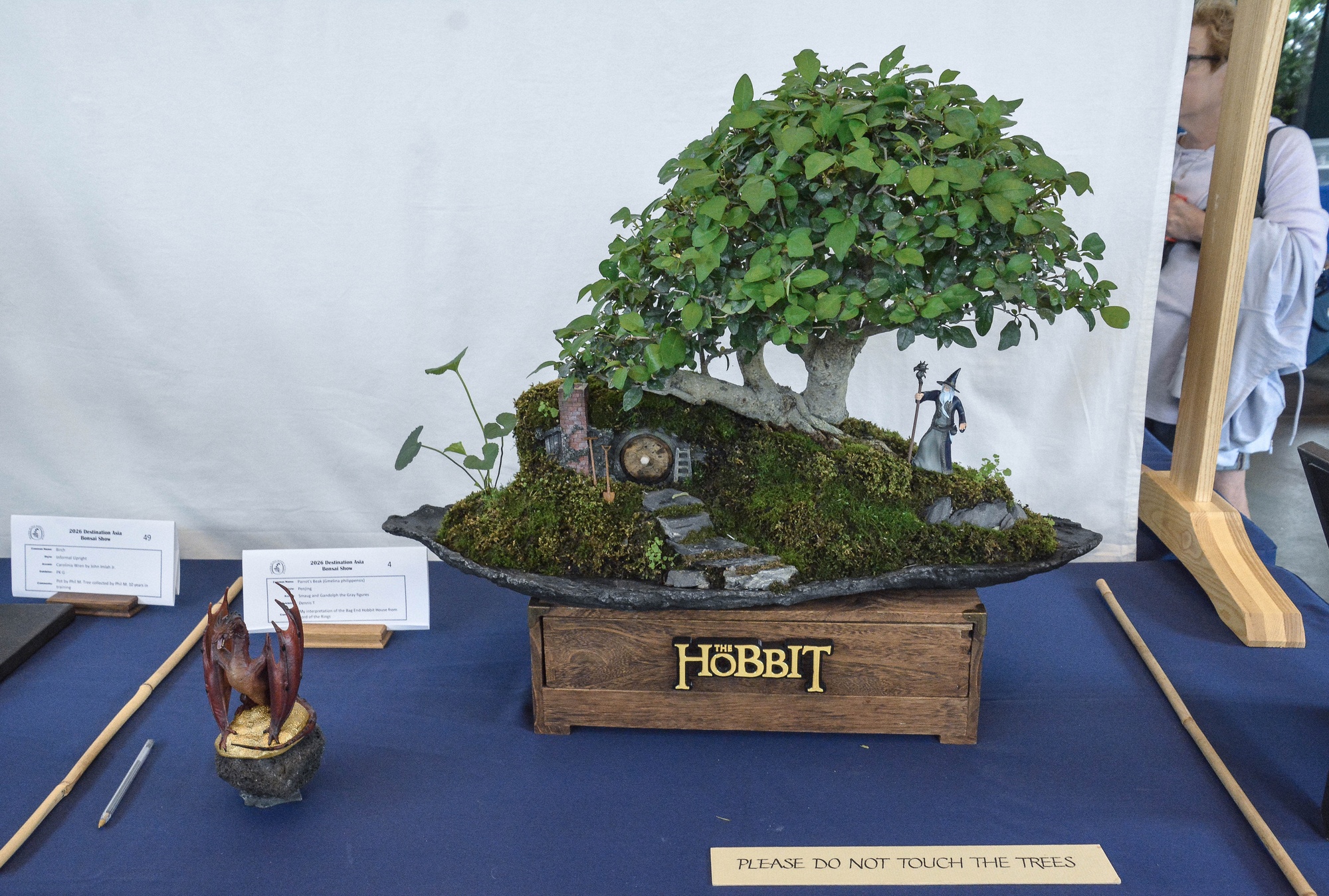 Dennis T. — Parrot's Beak (Penjing)