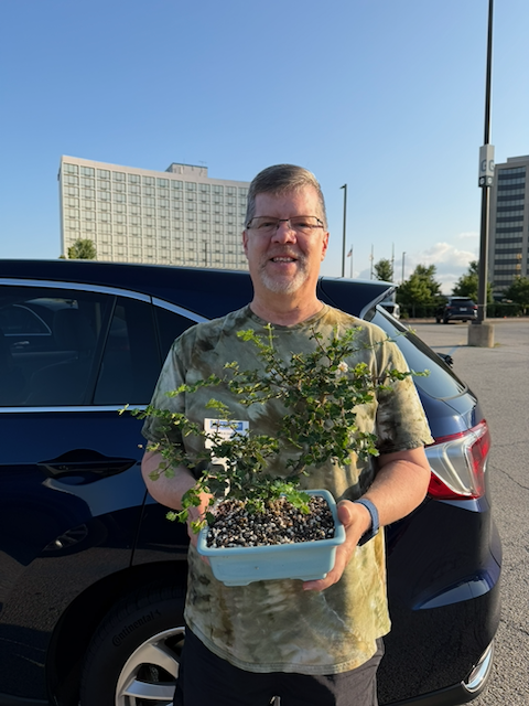 Read more about the article Congratulations Dennis — Singapore Holly Raffle Winner!